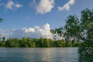 最新夢幻西游私服