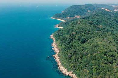 夢幻西游sf發布站